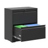 2 Drawer Lateral File Cabinet with Lock, Metal Lateral Filing Cabinet for Home Office, Steel Wide Horizontal Filing Cabinets for Letter/Legal/A4/F4 Ha