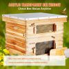 VEVOR Bee Hive 20 Frame Bee Hives Starter Kit, Beeswax Coated Cedar Wood, 1 Deep + 1 Medium Bee Boxes Langstroth Beehive Kit, Transparent Acrylic Wind