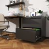 2 Drawer Lateral File Cabinet with Lock, Metal Lateral Filing Cabinet for Home Office, Steel Wide Horizontal Filing Cabinets for Letter/Legal/A4/F4 Ha