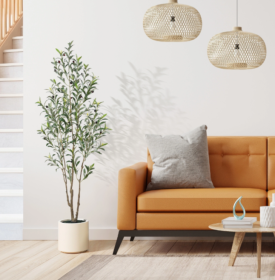 Simple Style Olive Tree (Option: 210cm)